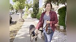 Rescue Dog To Super Dog Season 1 Episode 1