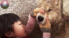Girl Living with Wolves