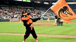 Orioles bird joins WJZ to talk promotions