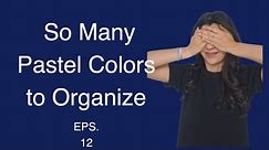 Color Value Organization of Pastels Speeds Up the Painting Process