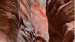 Experience Capitol Reef National Park