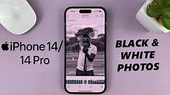 iPhone 14/14 Pro: How To Convert Colored Photo / Image To Black and White