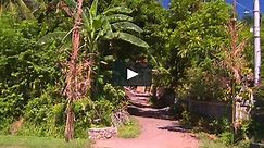 Fitness Journeys - Tropical Scenery, for Indoor Walking, Treadmill, and Cycling Workouts