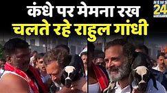 व्यक्ति ने कंधे पर रखा मेमना, मुस्कुरा कर चलते रहे Rahul Gandhi