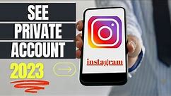 Can You See Private Account On Instagram?