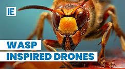 Wasp-inspired drones can now 3D Print buildings