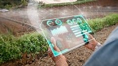 How A.I. technologies could help resolve food insecurity