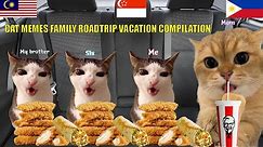 CAT MEMES Family Vacation Trip Compilation Full