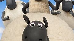 Shaun the Sheep: Season 4 Episode 26 Picture Perfect
