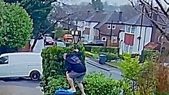 Wheelie bad idea! Funny moment dad falls off bin and into bushes