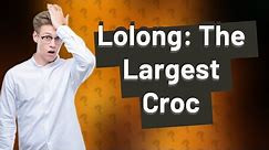 How big is the biggest croc?