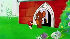 Tom & Jerry in italiano _ È di famiglia _ WB Kids