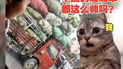 日本女生来中国留学后，价值观发生变化的故事【猫meme】