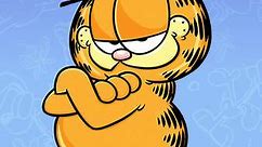 Garfield and Friends: Season 2 Episode 22 First Class Feline/How To Be Funny!