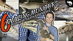 Six of the Best Pet Monitor Lizards