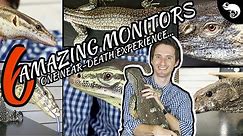Six of the Best Pet Monitor Lizards