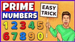 Prime Numbers | Prime Numbers from 1 to 100