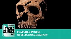 Neanderthal skull pieced together by hand like a jigsaw puzzle ...Tech & Science Daily podcast