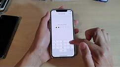 iPhone 12/12 Pro: How to Enable/Disable Home Control On Lock Screen