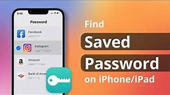 How to Find Saved Password on iPhone/iPad If forgot 2022 | iOS 16