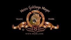 Metro-Goldwyn-Mayer (2004)