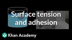 Surface Tension and Adhesion | Fluids | Physics | Khan Academy