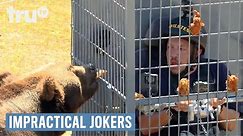 Impractical Jokers - Sal's Beastly Surprise (Punishment) | truTV