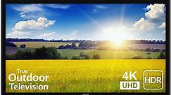 SunBriteTV 65" Black Pro 2 Series 4K UHD Full Sun Outdoor TV - SB-P2-65-4K-BL