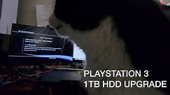 UPGRADING A PS3 IN 2023 (PLAYSTATION CAT?)
