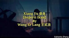 Xiang Yu 像鱼 (Seperti ikan) - 王贰浪 Wang Er Lang & lyrics/lirik