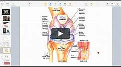 An ACL Injury Isn't A Knee Problem Webinar