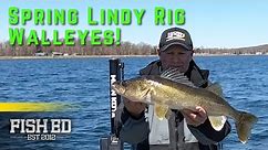 Live Bait Rigging Techniques for Spring Walleyes – Fish Ed
