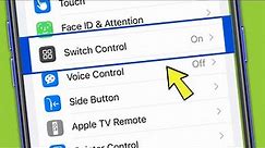 iPhone 13 | How To Turn On & OFF Switch Control Settings