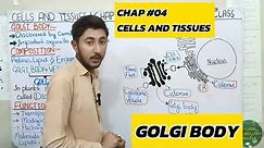 Golgi body | Chapter 4 | Cells and Tissues | 9th Class Biology | Lec 17