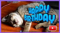 Sleepy Cat's Birthday Message - Happy Birthday 🐱