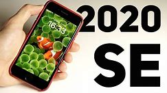 iPhone SE 2020 - ПОПУЛЯРНЫЙ* в 2024 году