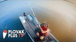 Feeder ribolov babuške - Dunav, Dubovac