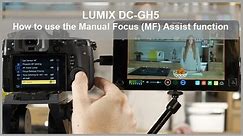 Panasonic - LUMIX G Series - DC-GH5, DC-GH5S, DC-G9 - How to use the Manual Focus Assist function.