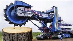 Dangerous Biggest Chainsaw Tree Felling, Logging Wood Truck, Heavy Equipment Excavator Stump Removal