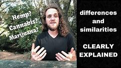 Difference between Hemp, Marijuana, and Cannabis (The Basic TRUTH)