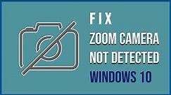 Zoom camera not detected solution | Fix camera not working