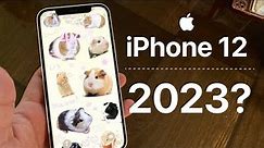 iPhone 12 - ¿Aún vale la pena en 2023? - Guía definitiva