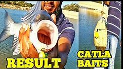 how to catch indian catla fish