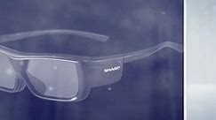 Best Bargain Review - Sharp AN3DG20B 3D Glasses