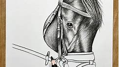 Learn To Draw Horse - Like a Pro
