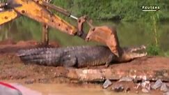 Massive crocodile found in Sri Lanka
