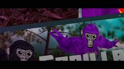 The gorilla death&&
