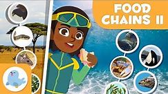 FOOD CHAINS for Kids 🌱⬅🐝⬅🐦⬅🐺 Terrestrial and Aquatic 🌼 Episode 2
