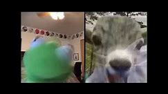 Kermit “Goat Screaming 5 Minutes”