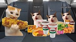 Family road trip with cat memes